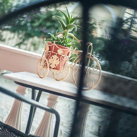 Zante Nest Studios & Apartments Аликанас Екстериор снимка